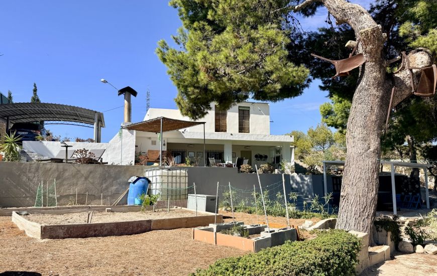 Sale - Finca - Elche Sale - Finca - Elche