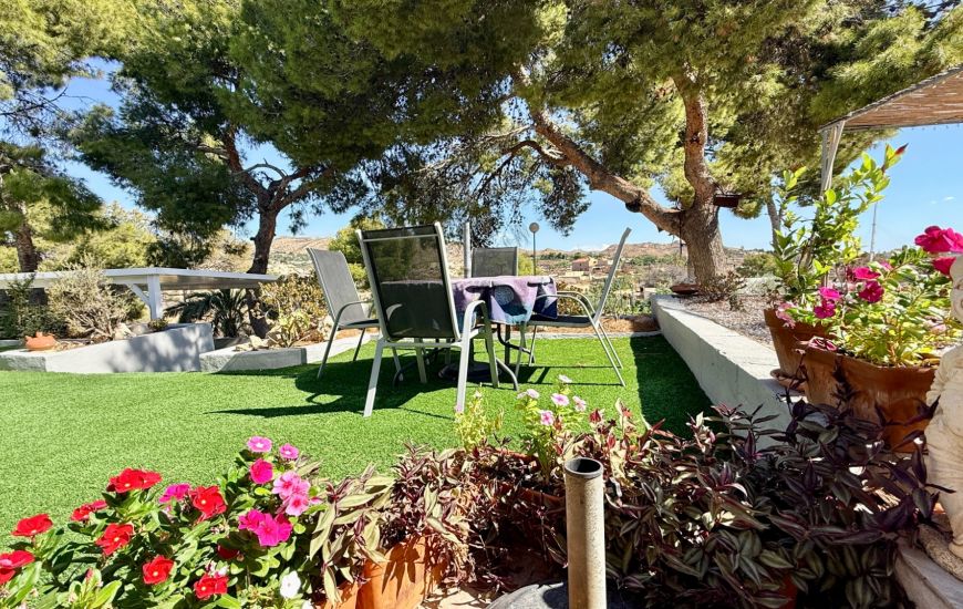 Sale - Finca - Elche Sale - Finca - Elche