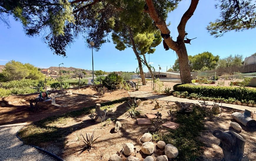 Sale - Finca - Elche Sale - Finca - Elche