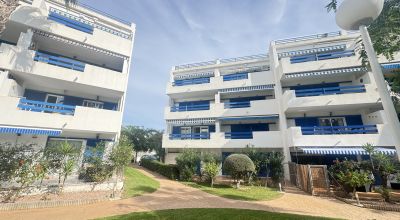 Apartamentos - Venta - Playa Flamenca - Playa Flamenca Apartamentos - Venta - Playa Flamenca - Playa Flamenca