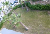 Nueva construcción  - Apartamentos - Los Altos Nueva construcción  - Apartamentos - Los Altos