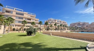Apartments - Sale - Villamartin - Villamartin Apartments - Sale - Villamartin - Villamartin