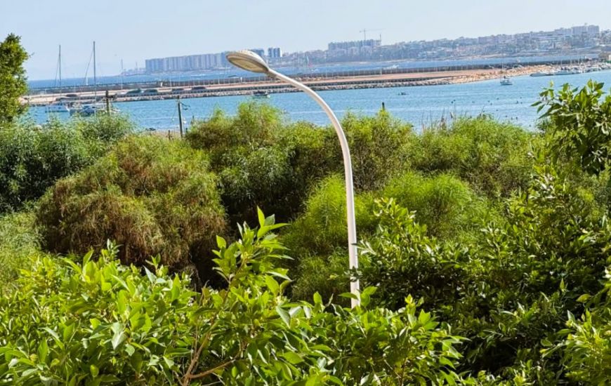 Nueva construcción  - Apartamentos - Torrevieja Nueva construcción  - Apartamentos - Torrevieja