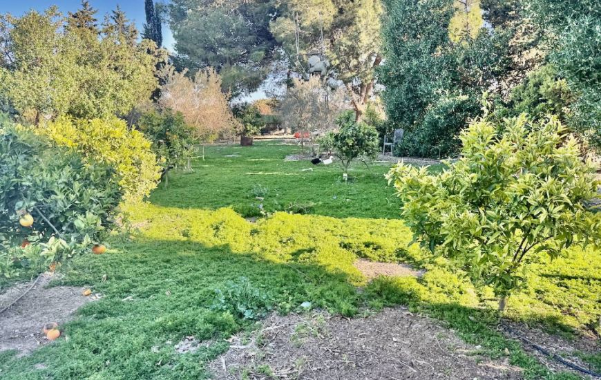 Sale - Country Property - Guardamar del Segura