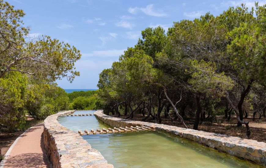 Sale - Bungalow - Torrevieja