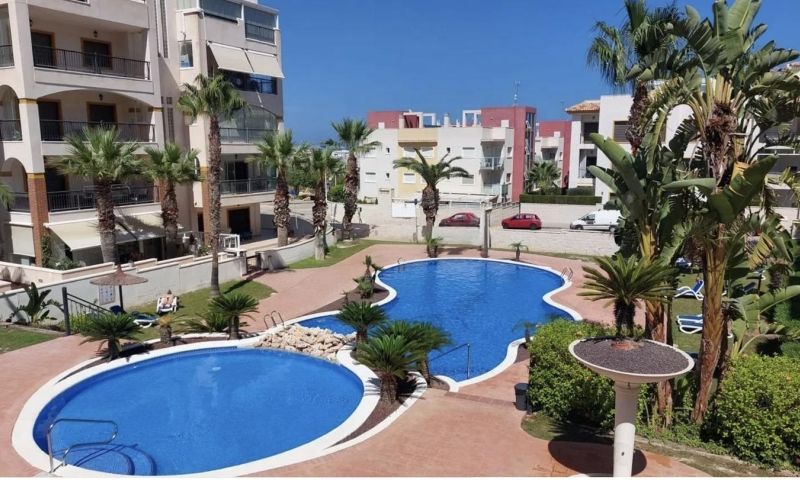 Sale - Apartments - 