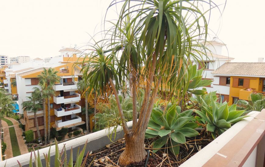 Sale - Apartments - Punta Prima