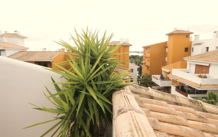 Sale - Apartments - Punta Prima