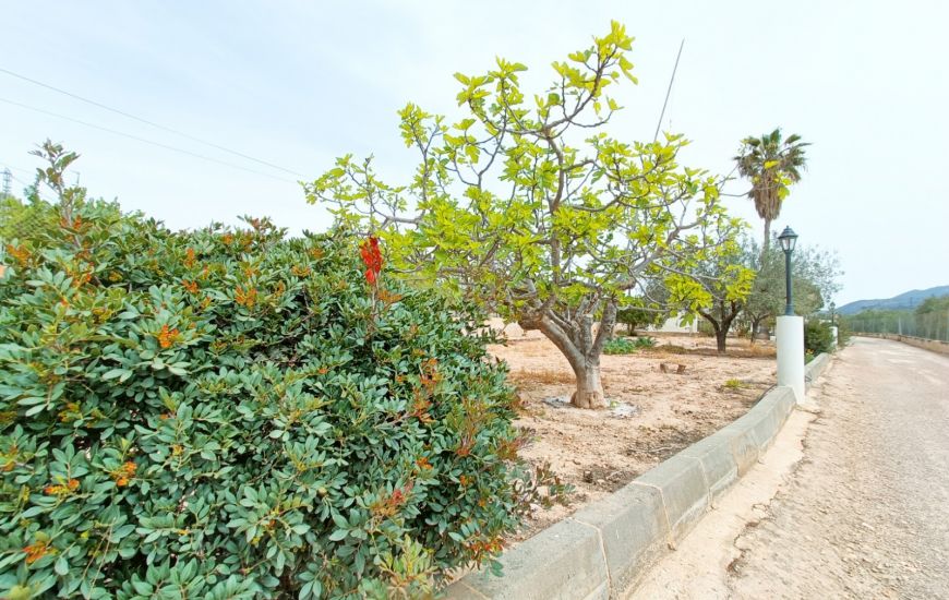 Sale - Villa - Hondon de los Frailes