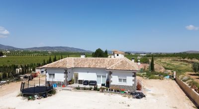 Finca - Sale - Pinoso - Pinoso