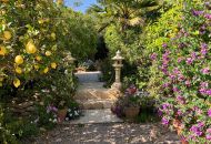 Sale - Finca - Los Montesinos