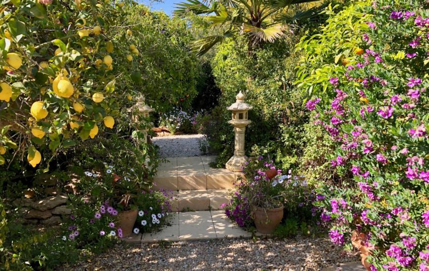 Sale - Finca - Los Montesinos