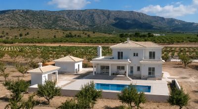 Finca - New Build - Pinoso - Pinoso