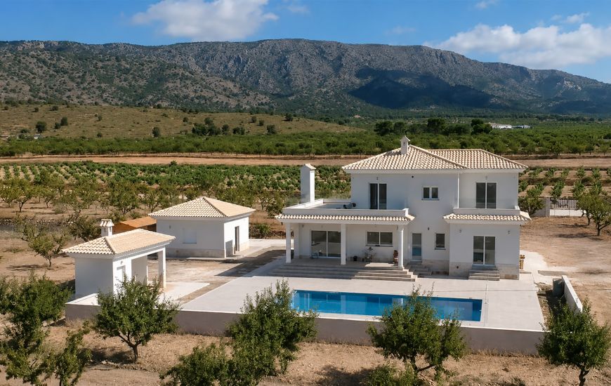 Nueva construcción  - Casa Rural - Pinoso