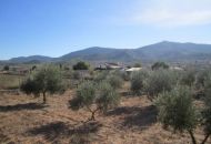 Sale - Finca - Hondon de los Frailes