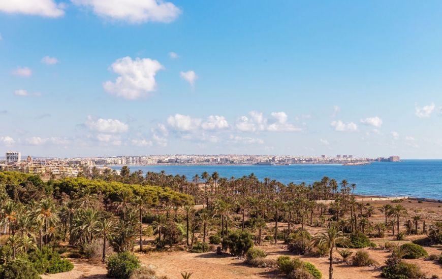 Venta - Apartamentos - Punta Prima