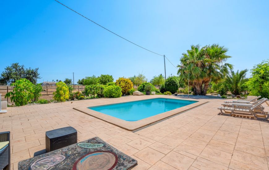 Venta - Country estate - Elche/Elx