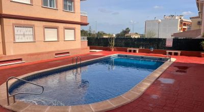 Apartamentos - Venta - Algorfa - Algorfa