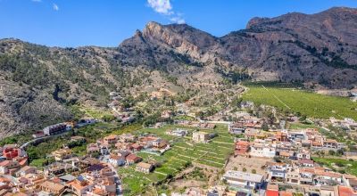 Apartamentos - Venta - Orihuela - Orihuela