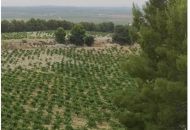 Venta - Casa Rural - 