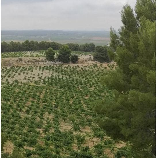 Venta - Casa Rural - 