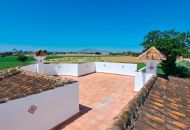 Sale - Finca - Catral