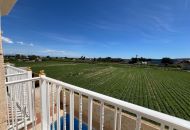 Venta - Apartamentos - Formentera Del Segura - Formentera del Segura