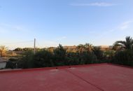 Sale - Finca - Elche