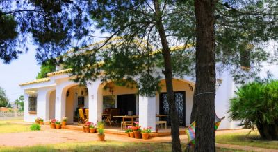 Finca - Sale - Elche - Elche