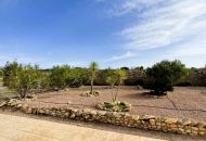 Sale - Finca - Pinoso