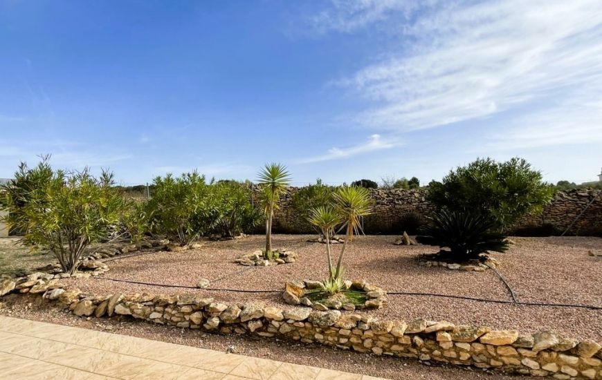 Sale - Finca - Pinoso