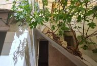 Venta - Comercial - Orihuela