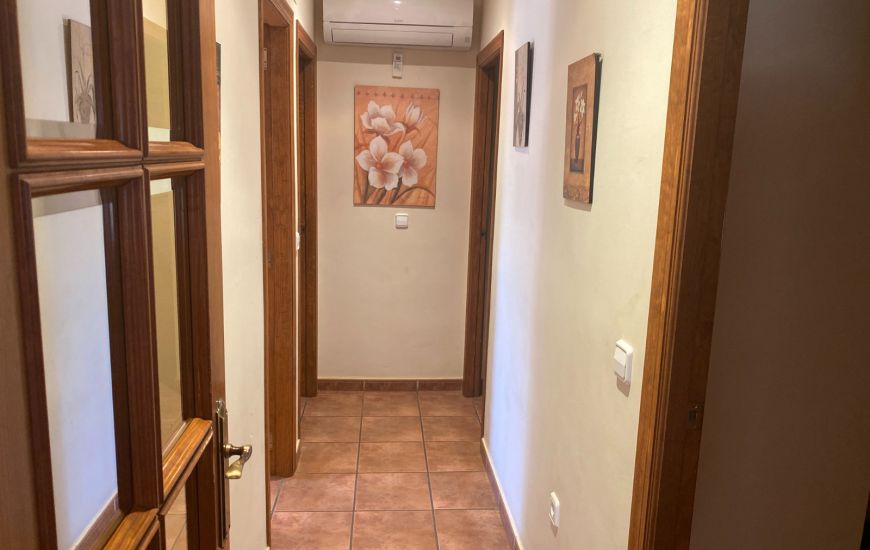 Sale - Finca - Salinas