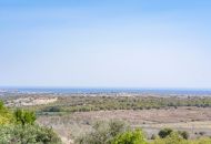 Venta - Apartamentos - San Miguel de Salinas - San Miguel De Salinas