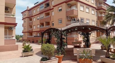Apartamentos - Venta - Algorfa - Algorfa