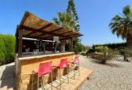 Sale - Villa with annex - Dolores