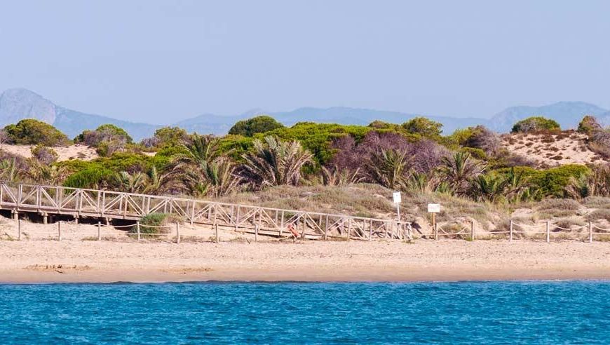 New Build - Apartments - Guardamar del Segura