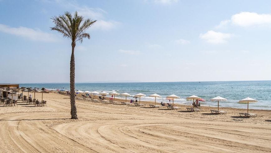 New Build - Apartments - Guardamar del Segura