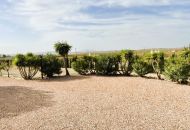 Sale - Finca - Pinoso