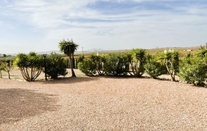 Sale - Finca - Pinoso