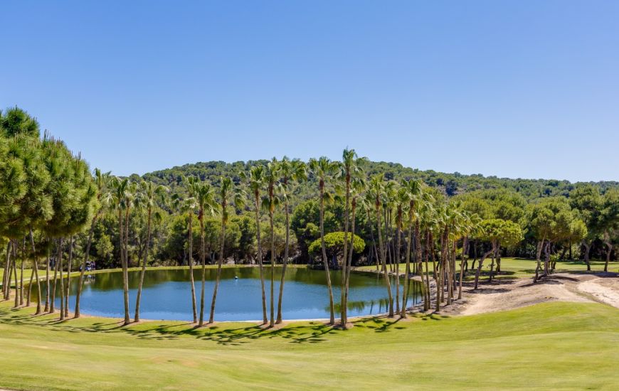 Sale - Villa - Las Ramblas