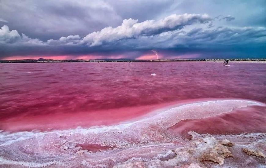 Nueva construcción  - Apartamentos - San Miguel de Salinas - San Miguel De Salinas