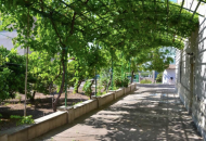 Sale - Villa - 