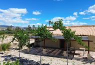 Sale - Finca - Abanilla