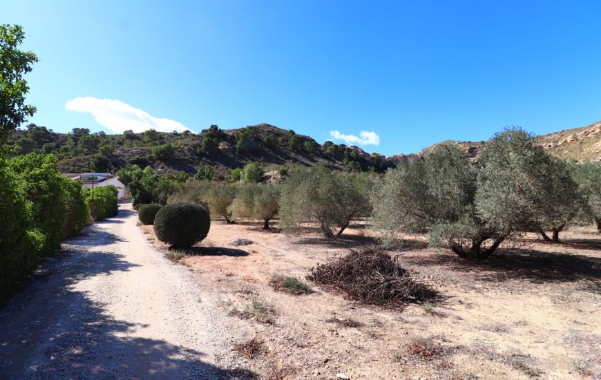 Venta - Casa Rural - Aspe