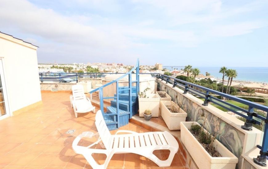 Sale -  - Pilar de la Horadada - 