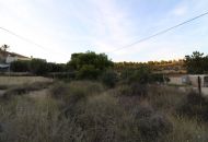 Sale - Finca - Elche