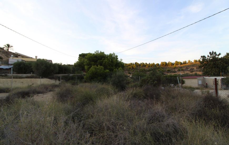 Sale - Finca - Elche