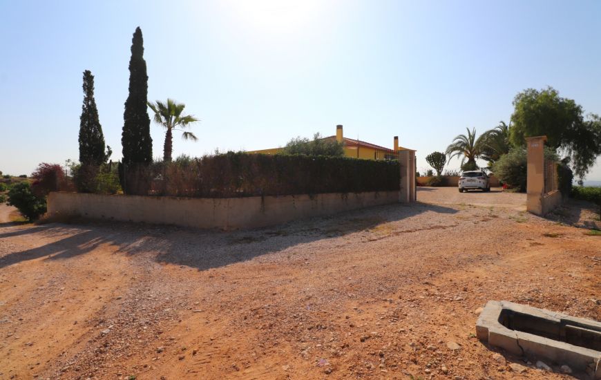 Sale - Finca - Albatera