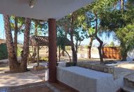 Sale - Finca - Orihuela